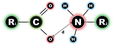 Salt Bridge R Group MLR
